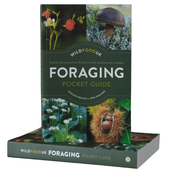 Wild Food UK Foraging Pocket Guide Book