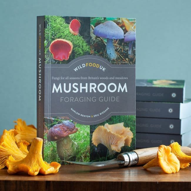 Wild Food UK Mushroom Foraging Guide Book