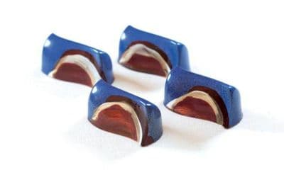 PC48 Antonio Bachour Pavoni Chocolate Bonbon Mould