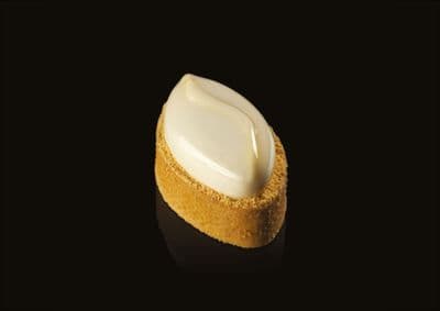 PX3201 SHELL Pavoni Pavoflex Silicone Mould Gianluca Fusto