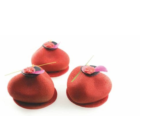PX4303 - Natural Pavoni Italia Pavoflex Silicone Mould