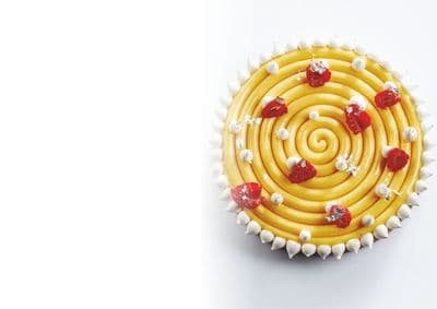 TOP06 - IPNOSIS Pavoni Silicone Cake Mould