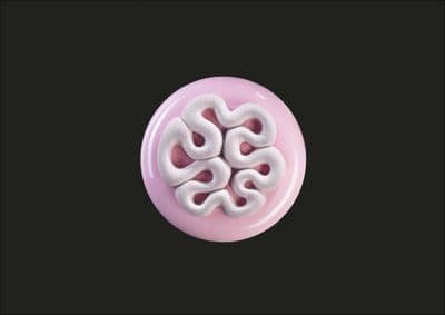 TOP16 - MINI JELLY Pavoni Silicone Cake Mould