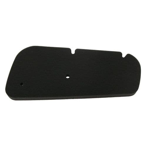 Filtro de aire Honda Pantheon FES 125 150 2T (98/02)