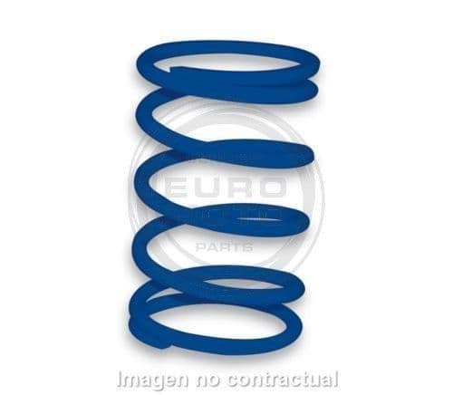 Muelle Polea Conducida Azul Piaggio Zip, Typhoon