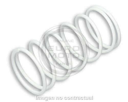 Muelle Polea Conducida Blanco Piaggio Typhoon