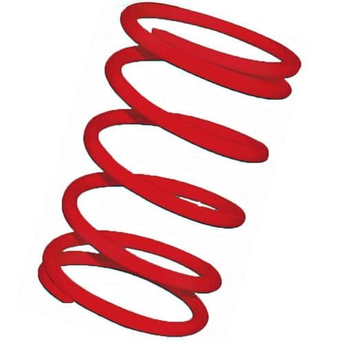 Muelle polea conducida rojo Motor Leader