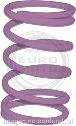 Muelle Polea Conducida Violeta Piaggio Typhoon