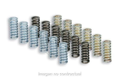 Muelles Malossi Embrague Original Piaggio X10 350