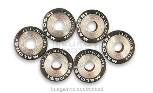 Rodillos Malossi 19x15, 8,4gr.