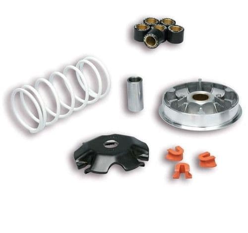 Variador Multivar Malossi Honda Lead 110