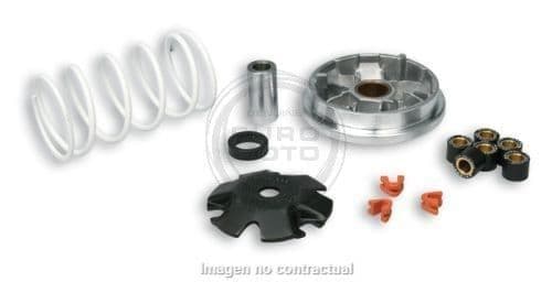 Variador Multivar Peugeot Buxy Zenith, Speedake