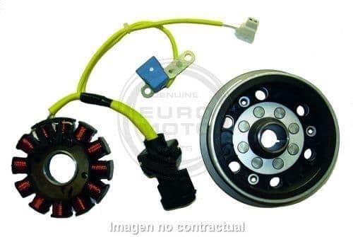 Volante Magnético / Rotor