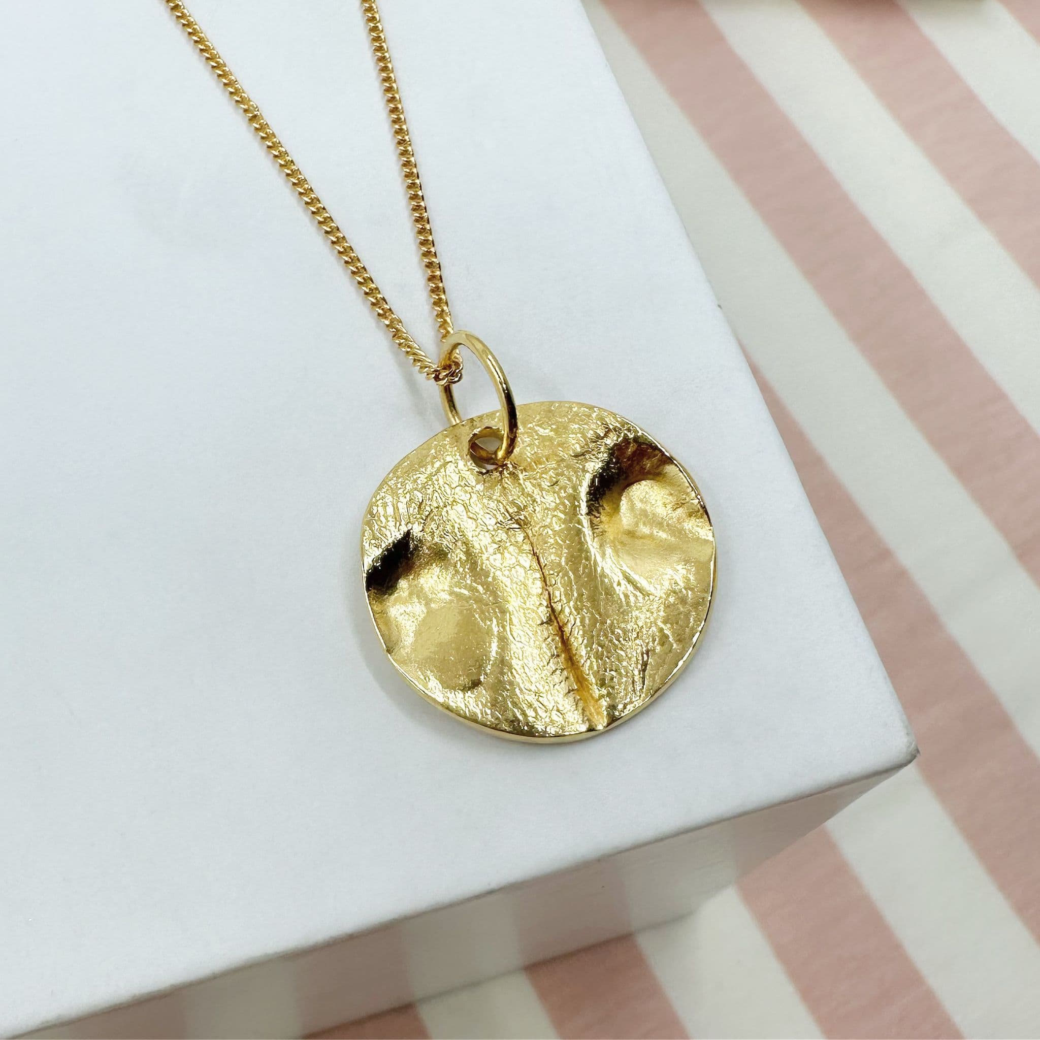 Gold Plated Cat/Dog Nose Necklace - Main Image
