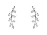 Vine Climber Earrings