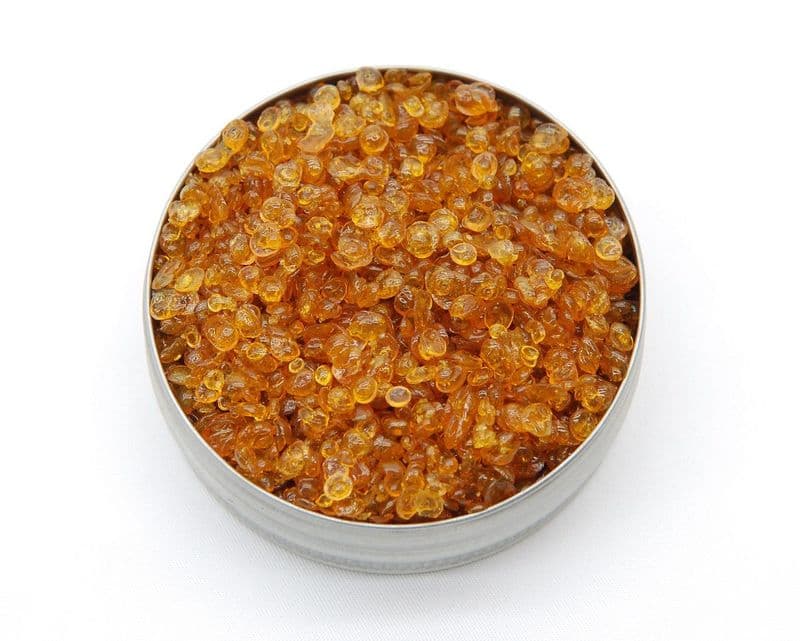 Bone Glue
