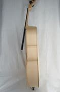 Cello in the White