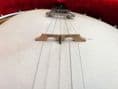 Geo P Matthew G Banjo