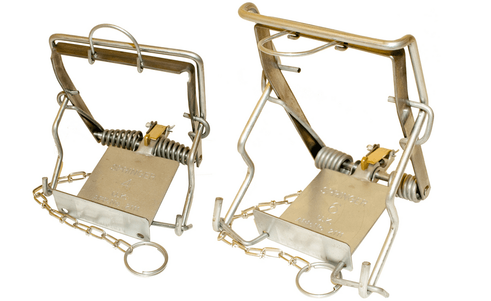Fenn Mark 4 / 6 Spring Snap Traps Perfect For - Squirrel, Weasel, Rat, Rabbit, Pests