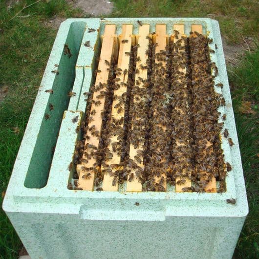 14x12 Nuc, deposit only 2027