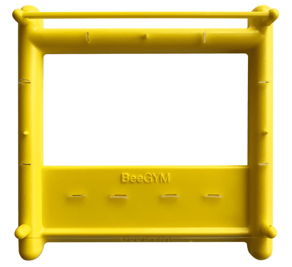 Bee Gym