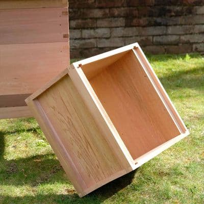 Cedar Brood Box 14x12