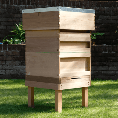 Complete Cedar National Hive