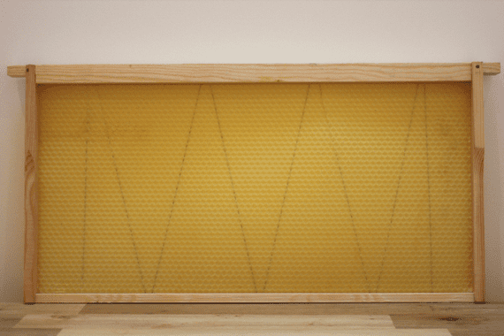 Langstroth Deep Frames x 10 (Flat pack, no foundation)