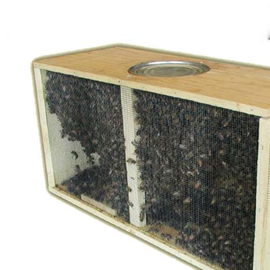 Package 1.5kg ( 3lb ) Bees with Queen, deposit only 2027