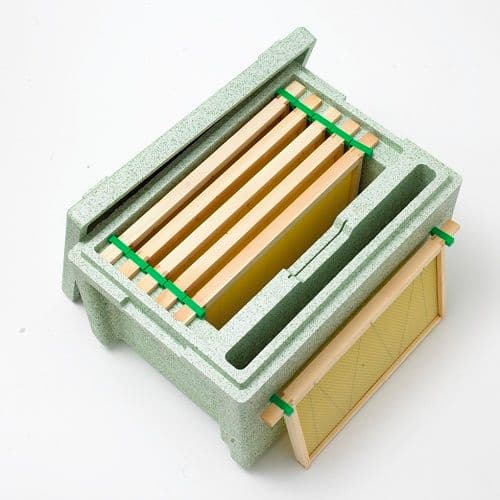 Polystyrene National Nuc Box