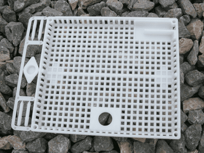 Queen Introduction Cage