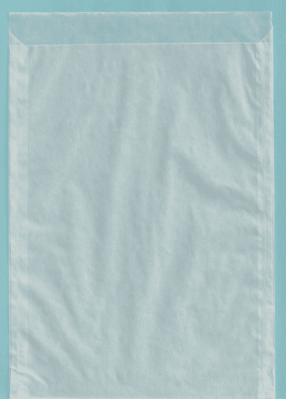 50 LINDNER  GLASSINE ENVELOPES 230 x 300  - PRICE REDUCED BY 20% to clear