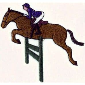 SHOWJUMPING IMAGE