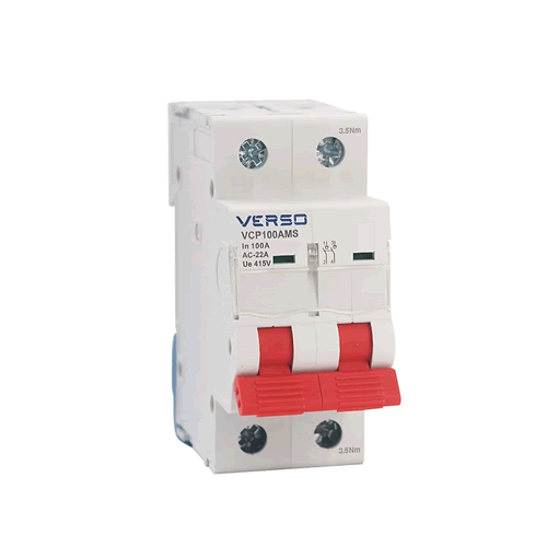 Verso 100A Double Pole Main Switch Isolator VCP100AMS