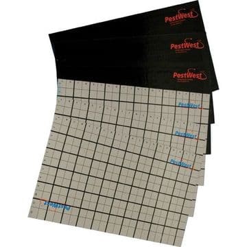 Chameleon Replacement Sticky Boards (6 pack)