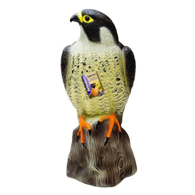 falcon decoy Bird deterrent / repellent for your garden