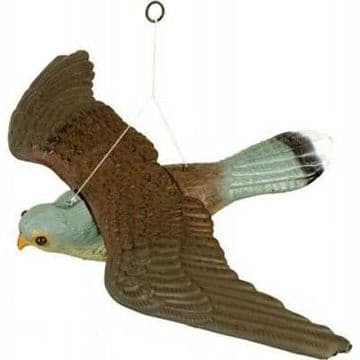 Falcon Decoy - Flying