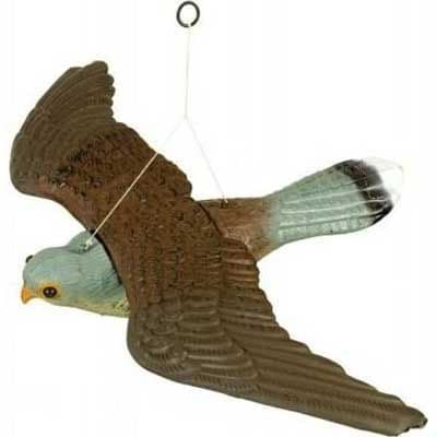 Decoy flying falcon bird repellent & deterrent