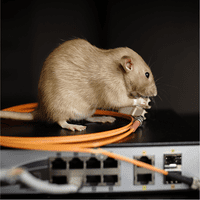 Ultrasonic Mouse & Rat Repeller