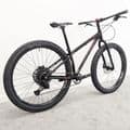 Surly Krampus Rigid Small