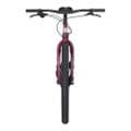 Surly Ogre - AdventX 1x10, Fermented Plum, XL