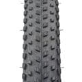 Teravail Camrock 29