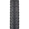 Teravail Clifty 29