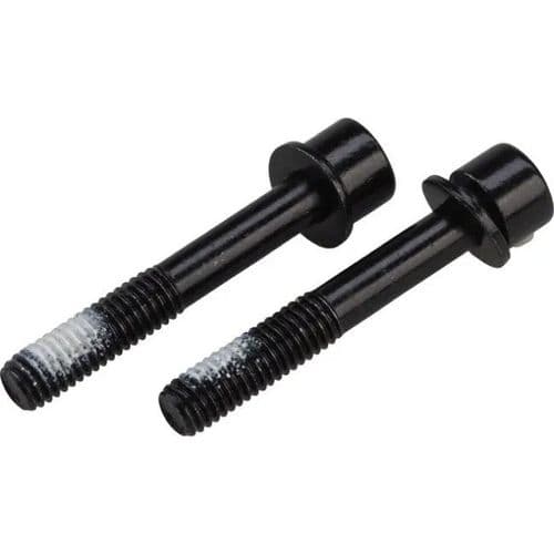 TRP Flat Mount Bolts