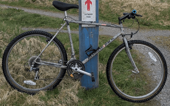 Diamondback Topanga  MTB 1990 - 21.5
