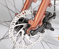 Juicybike Classic Ebike LowStep  26