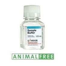 Sample Buffer PROTEIN-FREE Cat. No. #305