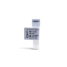 anti-TLR4 (human) BLOCKING MAb clone 22C5 Cat. No. #IAX-400-002