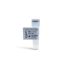 anti-TLR4 (human) MAb clone 2E11 Cat. No. #IAX-400-003