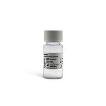 ddWater Endotoxin-free (sterile) Endotoxin-free (sterile) Cat. No. #IAX-900-002